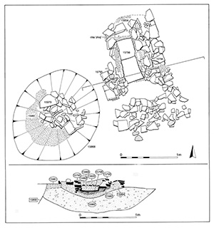 Figure 156