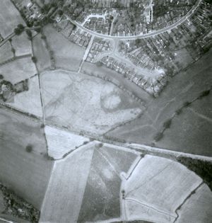 Aerial view of Heybridge taken in 1975, showing linear features and pits in the area of the Northern Hinterland of the site