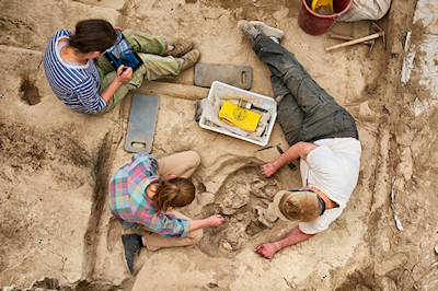 Tablet recording seamlessly integrated into the complex workflow of excavation in Çatalhöyük's Building 80 (photograph by Jason Quinlan, courtesy of the Çatalhöyük Research Project)