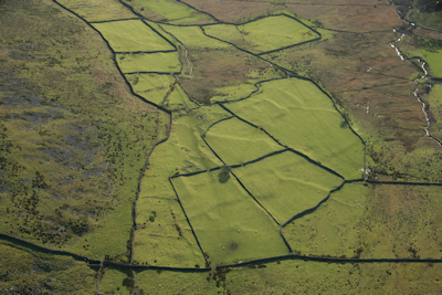 Cwm Cilio: Field system from the north-west
