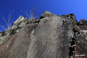 Rock 6 in Penascosa Rock-Art site comprising caprid and equine depictions. Photo: Jaime António.