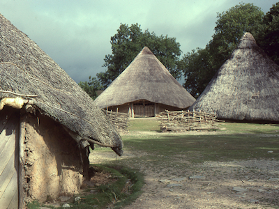 Figure 3: Three of the four reconstructed roundhouses at Castell Henllys, with wattle panels in the centre used for daubing as part of schools activities