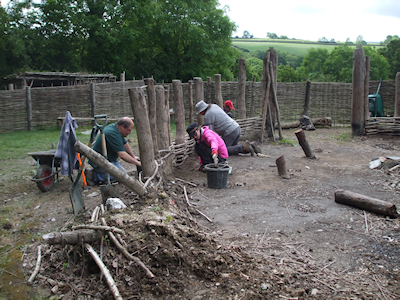 Figure 5: Investigating the first reconstructed roundhouse at Castell Henllys as it was dismantled and excavated prior to its replacement being erected on the same site