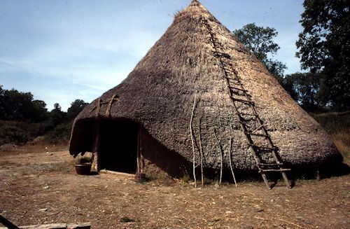 Figure 1: Reconstructed roundhouse at Castell Henllys, Pembrokeshire. (Image: Dyfed Archaeological Trust)