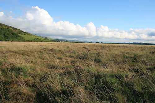 Figure C: Tregaron (Cors Caron) South-East Bog. (Image: A.E. Caseldine)