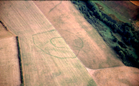 A cropmark concentric defended enclosure/enclosed settlement