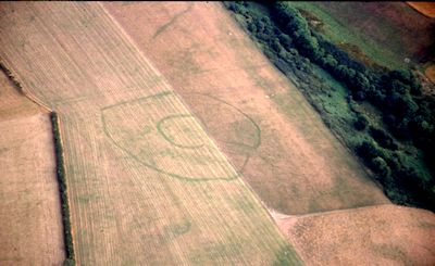 A typical south-west Wales cropmark concentric defended enclosures/enclosed settlements (Dyfed Archaeological Trust)