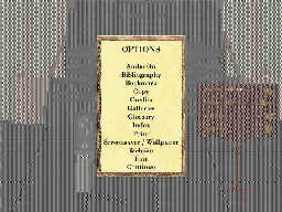 Screenshot of options menu