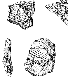 [Figure 7 - the lithic assemblage]