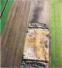 Excavation of a Mesolithic site on an extended cover-sand ridge in the Groningen Veenkoloniën (peat reclamation district, mun. of Stadskanaal). After the top soil has been removed, the colouring of the soil corresponds to the measure of topping off the original profile.