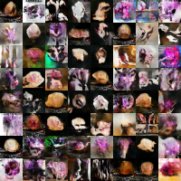 Imaginary skulls for sale, generated by Deep Convolutional Generative Adversarial Networks trained on 6700 images collected from Instagram