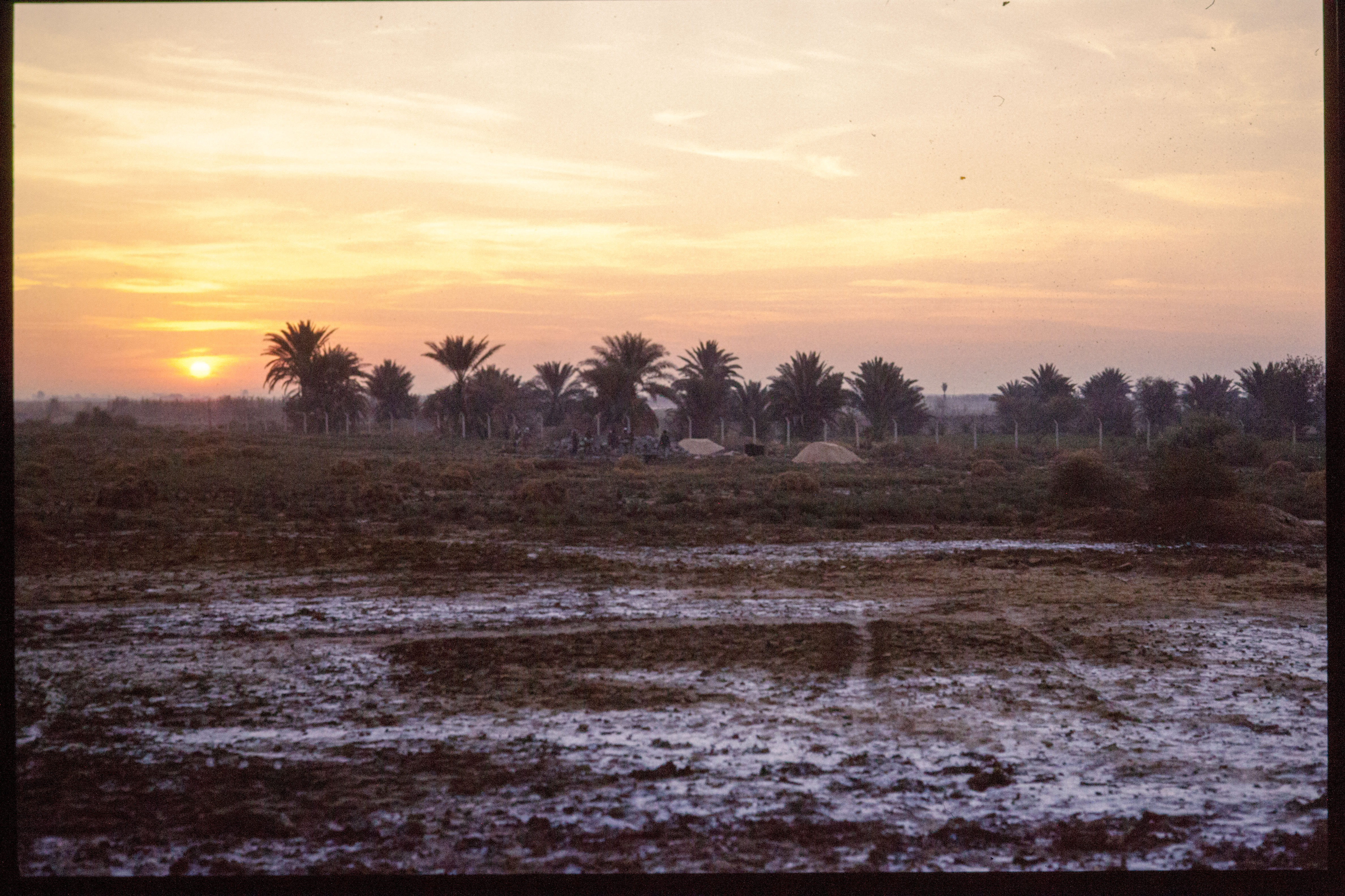 View of excavation area at sunrise