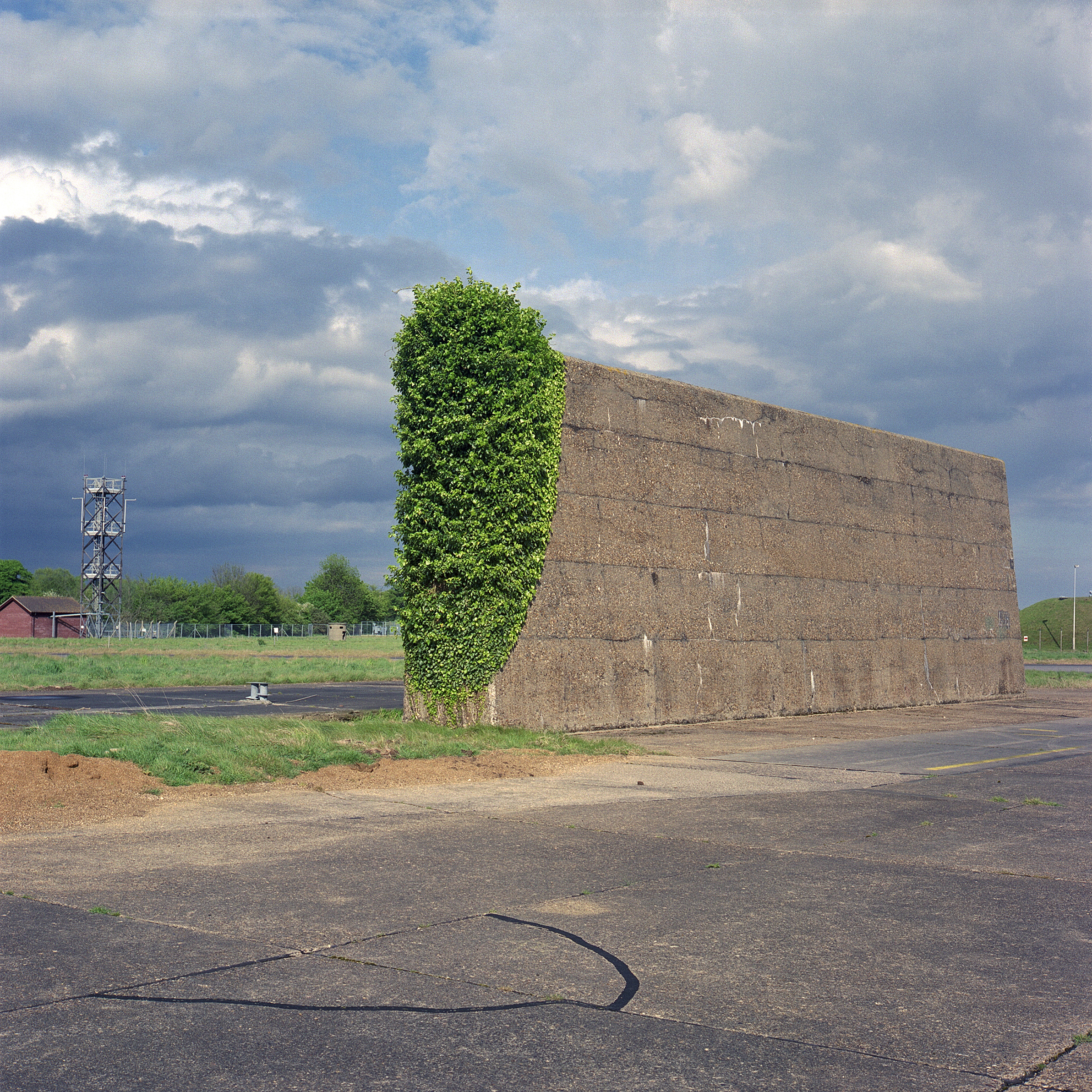 Stormy sky  with wall, one end coveed with bright green ivy