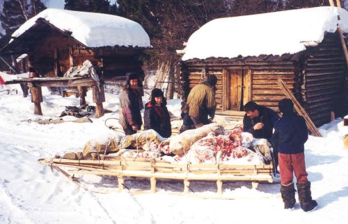 Snow on ground, hunters wrapped up against the cold unpack a sledge of butchered meat