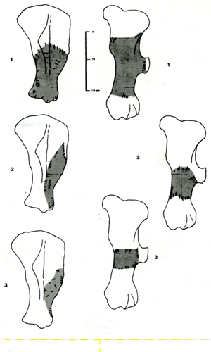 Figure 28
