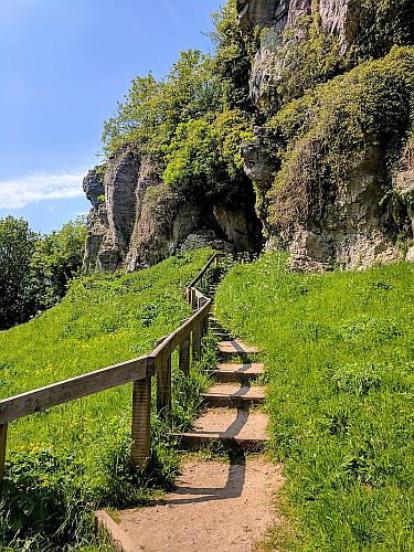 Entrance to Pin Hole Cave on a sunny day, with modern wooden steps winding through green vegetation to the cave entrance higher up the hill