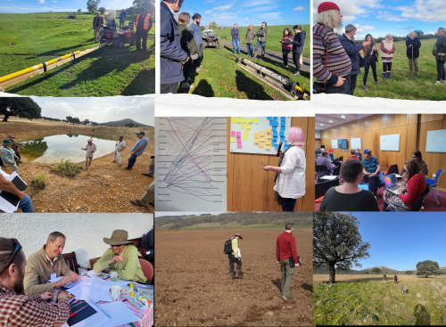A collection of photos showing people participating in workshops and outdoor field visits