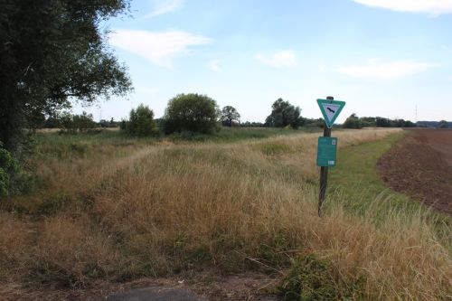 Vegetation with a sign displaying information on animals in the foreground