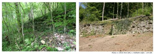 Two images of a stone wall, one before cleaning surrounded by vegetation, and one with cleared land surrounding the wall