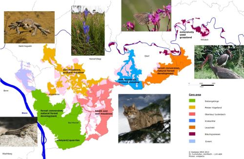 A map showing the nature conservation project-area surrounded by images of target species of flora and fauna such as frogs and lizards