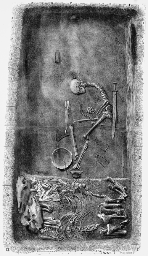 An illustration of an aerial view of a grave containing human and animal bones, a sword, axe and and other items