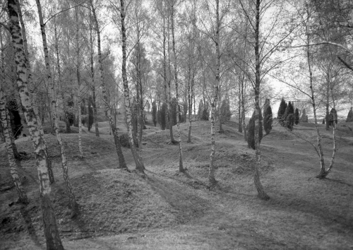 A number of shallow grassy mounds in a forested area