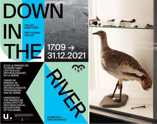 A promotional flyer for an archaeological exhibit, alongside a photograph of a great bustard in a display cabinet