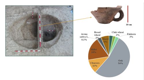 Photo of structure under excavation and chart showing distribution of species