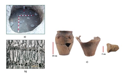 Photo of pottery vessels and and chart showing distribution of species