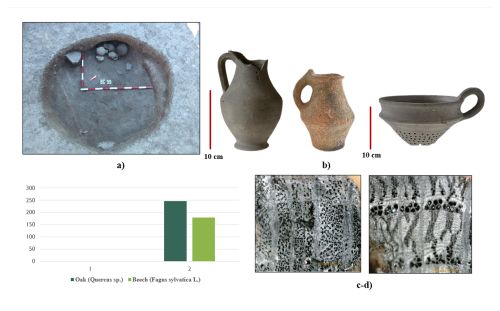 Photo of pottery vessels and and chart showing distribution of species