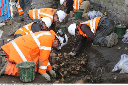 a group of people excavating bones in an archaeological trench
