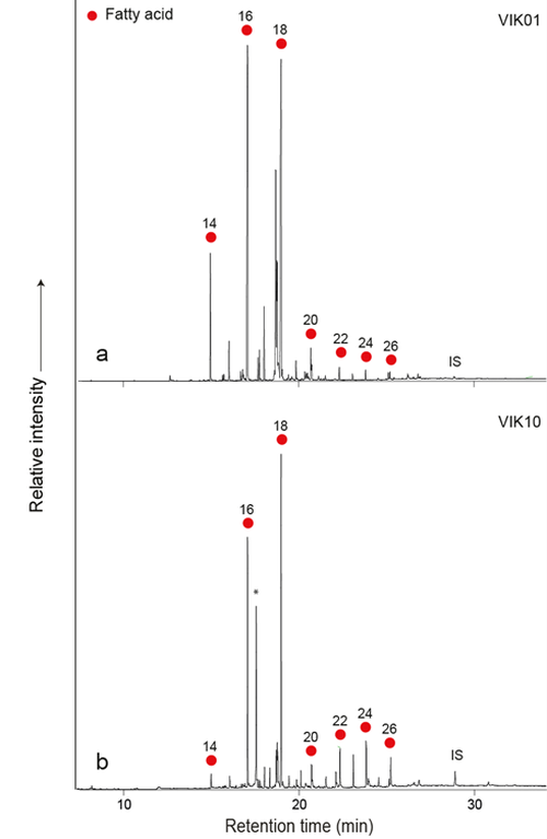 Figure 30