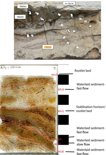 Section SS05(3). Micromorph sample 780046