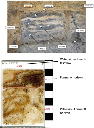 Section WkS06. Micromorph sample 780127