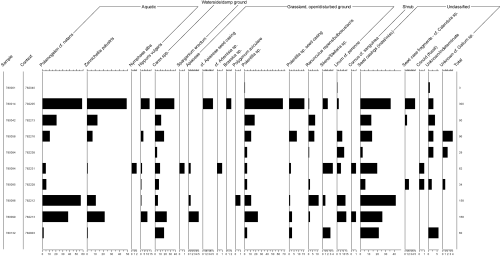 Plant macrofossil diagram