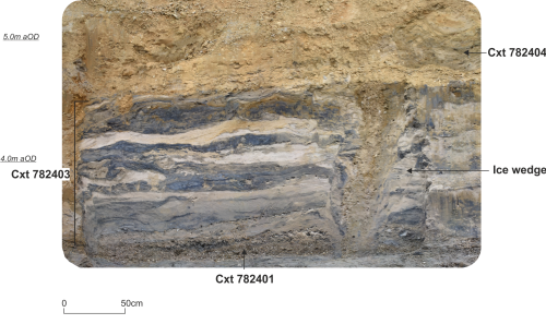 a cross-section of a exposed rocks