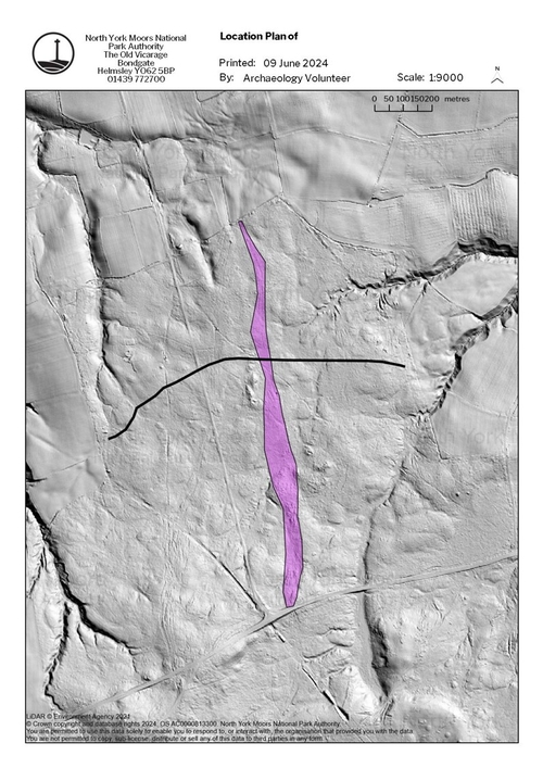 Figure 21