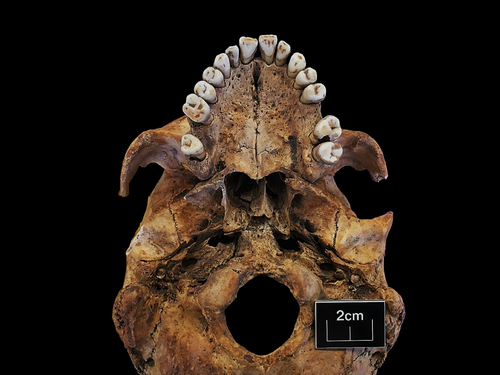 Figure 107