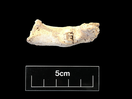 Figure 112