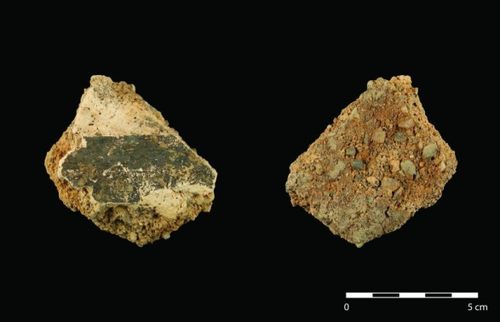 Figure 79