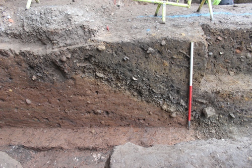 Figure 9