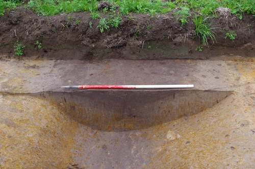 Figure 12