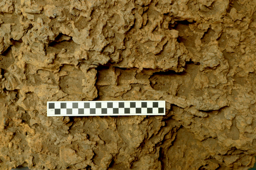 Figure 17