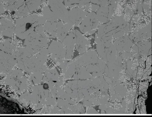 Figure20g