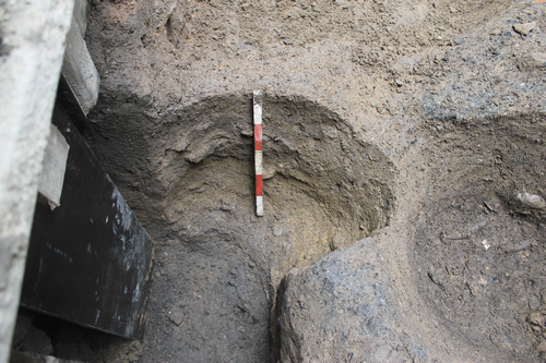 Pit [1030], looking north-west. 0.1m scale units