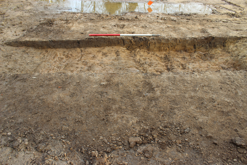 ditch group 1005 cutting ditch group 1004