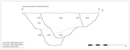 ditch group 1005 ditch group 1006 ditch re-cut and modern land drain group 1018