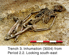 Trench 3: Inhumation (3004) from Period 2.2. Looking south-east.