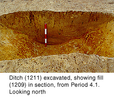 Ditch (1211) excavated, showing fill (1209) in section, from Period 4.1. Looking north.